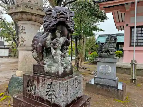 大神神社の狛犬