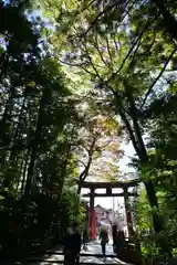 彌彦神社(新潟県)