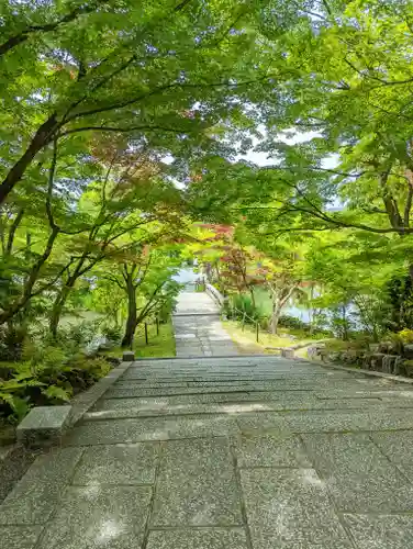 禅林寺（永観堂）の自然