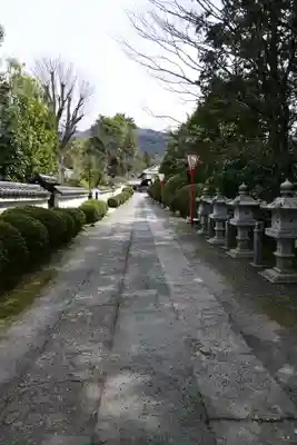 隨心院(随心院)(京都府)
