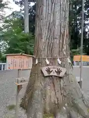 熊野神社(岩手県)