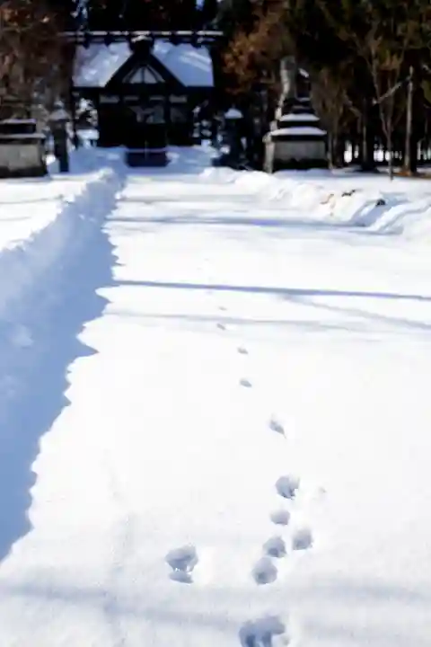 西士狩神社(北海道)