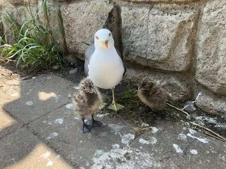蕪嶋神社(青森県)