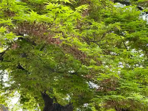 梅香寺(三重県)