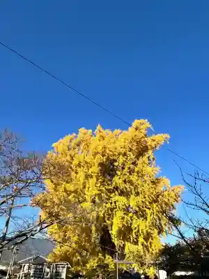 丹生酒殿神社(和歌山県)