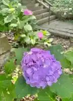 蚊里田八幡宮(長野県)