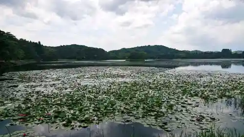 南湖神社の景色