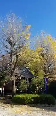 王子白髭神社の自然