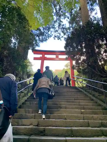 箱根神社の鳥居