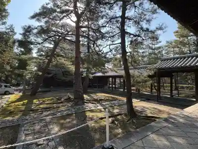 大徳寺(京都府)