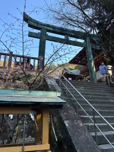 久能山東照宮の{uncategorized: "未分類", other: "その他", undefined: "問題あり", building: "その他建物", grave: "お墓", sacred_gate: "鳥居", guardian: "狛犬", statue: "像", buddha: "仏像", history: "歴史", nature: "自然", garden: "庭園", animal: "動物", pagoda: "塔", temizu: "手水舎", mountain_gate: "山門・神門", sanctuary: "本殿・本堂", subordinate: "末社・摂社", art: "芸術", scenery: "景色", jizo: "地蔵", ema: "絵馬", goshuin: "御朱印", omikuji: "おみくじ", items: "授与品その他", amulet: "お守り", goshuincho: "御朱印帳", eats: "食事", festival: "お祭り", votive_dance: "神楽", shichigosan: "七五三参", wedding: "結婚式", experience: "体験その他", initially: "初詣", around: "周辺", anti_infection: "感染症対策"}
