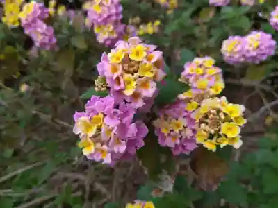 源九郎稲荷神社(奈良県)