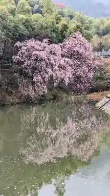 正法寺(京都府)