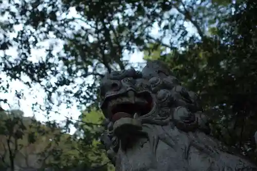 秩父御嶽神社の景色