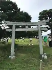 竹生島神社の鳥居