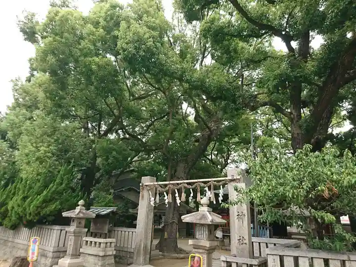 天神社(桑津天神社)の鳥居
