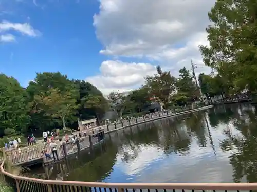 武蔵一宮氷川神社の周辺