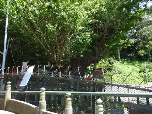 海南神社の自然