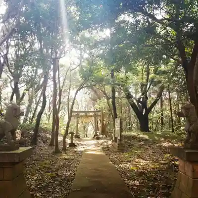 稲荷神社の鳥居