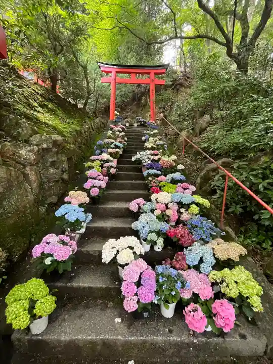 柳谷観音 楊谷寺(京都府)