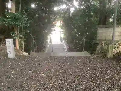 若宮八幡宮の自然