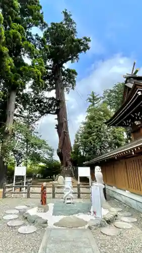 八幡宮の御朱印