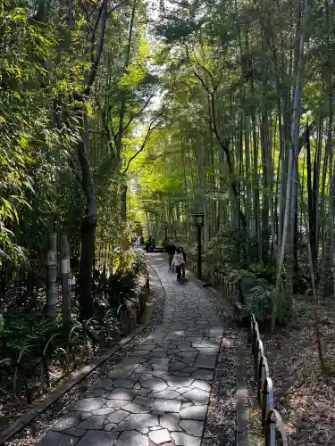 修禅寺(静岡県)