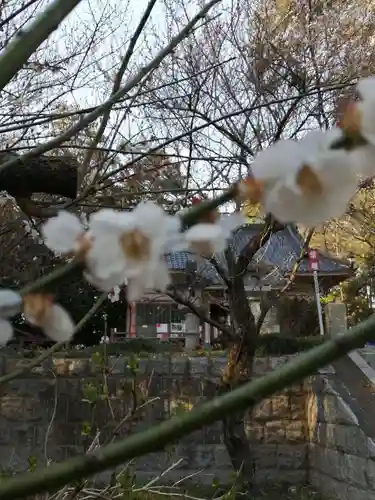 千代ケ岡八幡宮のその他建物