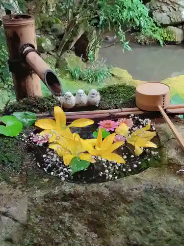 柳谷観音　楊谷寺の手水舎