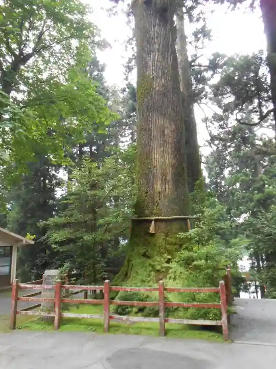 箱根神社(神奈川県)