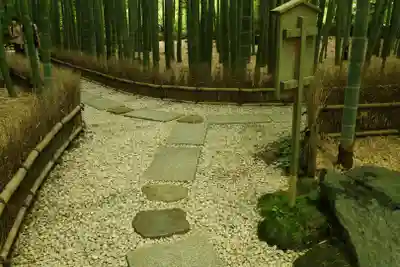 報国寺(神奈川県)