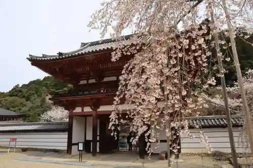 金剛寺の山門・神門