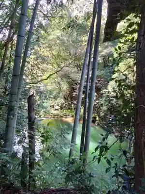 神龍八大龍王神社の周辺