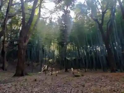 三女神社(京都府)