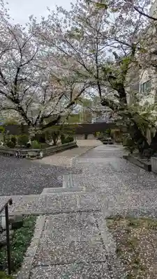 墨染寺（桜寺）(京都府)