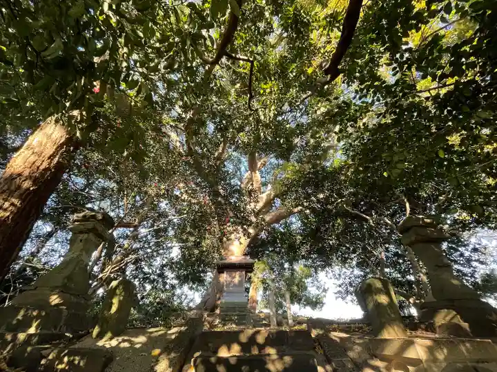 大宮皇神の自然