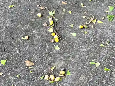 多爲神社(三重県)