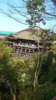 清水寺(京都府)