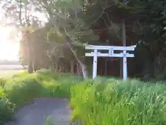 石川八幡宮の鳥居