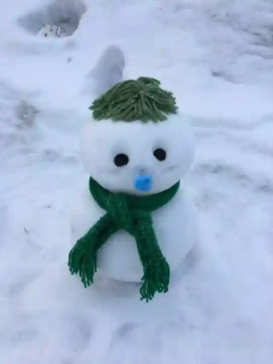 北広島市総鎮守 廣島神社の像
