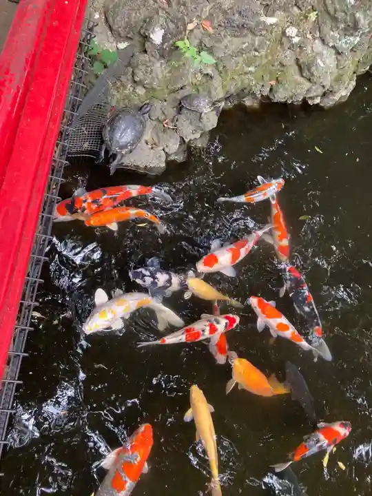 世田谷八幡宮(東京都)