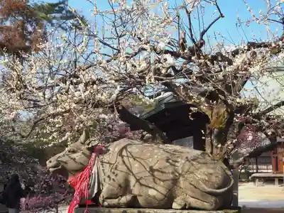 北野天満宮の狛犬