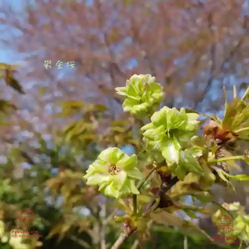 立志神社(滋賀県)