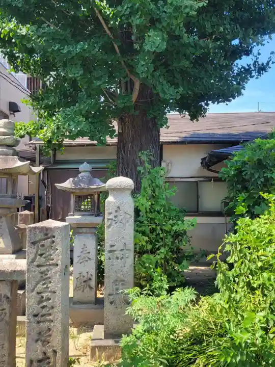 金刀比羅宮松山分社(愛媛県)