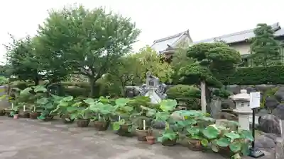 代通寺のその他建物
