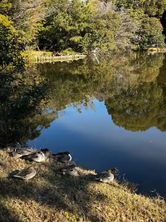 菊田神社の{uncategorized: "未分類", other: "その他", undefined: "問題あり", building: "その他建物", grave: "お墓", sacred_gate: "鳥居", guardian: "狛犬", statue: "像", buddha: "仏像", history: "歴史", nature: "自然", garden: "庭園", animal: "動物", pagoda: "塔", temizu: "手水舎", mountain_gate: "山門・神門", sanctuary: "本殿・本堂", subordinate: "末社・摂社", art: "芸術", scenery: "景色", jizo: "地蔵", ema: "絵馬", goshuin: "御朱印", omikuji: "おみくじ", items: "授与品その他", amulet: "お守り", goshuincho: "御朱印帳", eats: "食事", festival: "お祭り", votive_dance: "神楽", shichigosan: "七五三参", wedding: "結婚式", experience: "体験その他", initially: "初詣", around: "周辺", anti_infection: "感染症対策"}