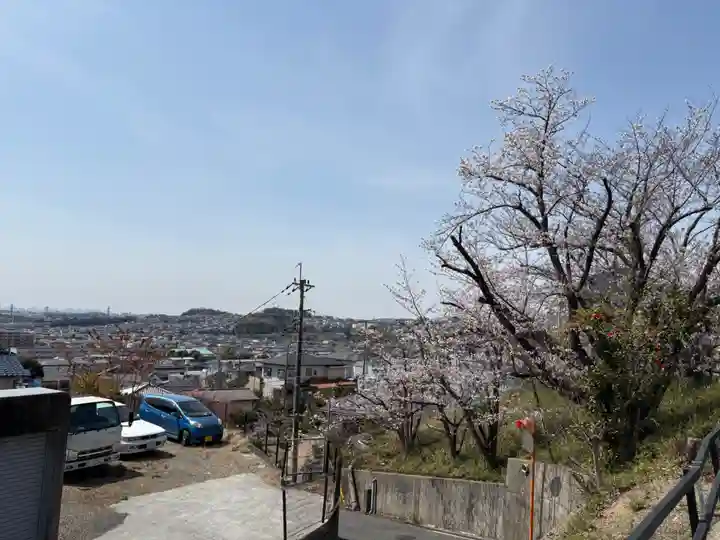 安岡寺(大阪府)