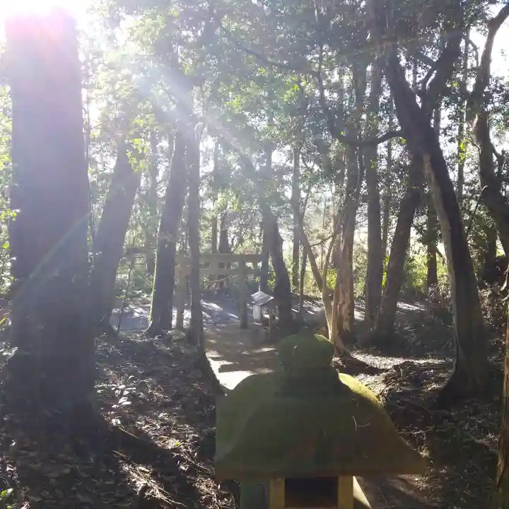 白幡神社の自然