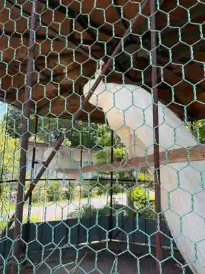 進雄神社(群馬県)