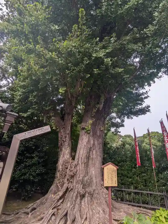 鎮護堂(東京都)